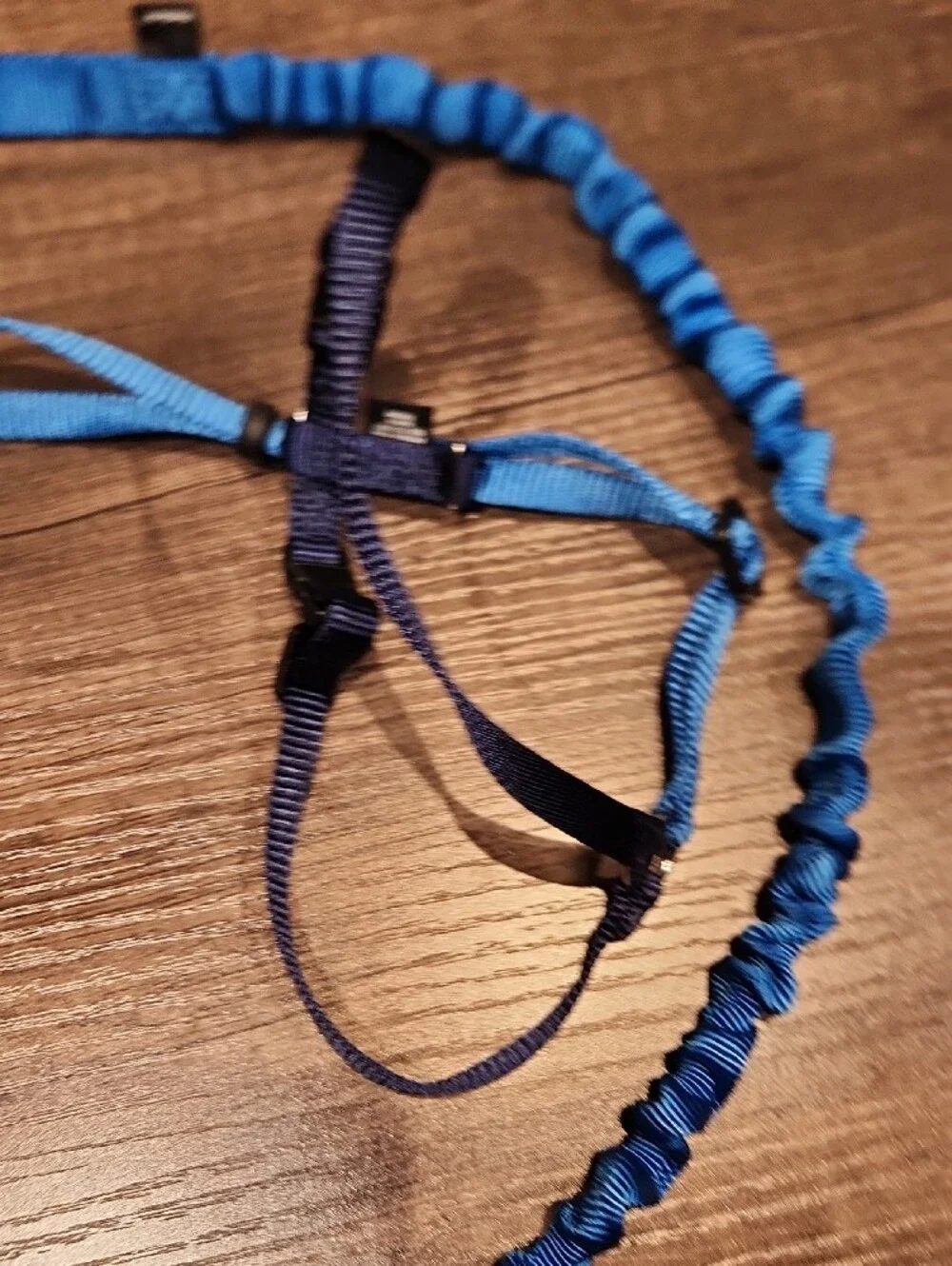 PetSafe Blue Cat Bungee Leash and Adjustable Harness Set Sz L